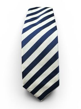 Corneliani Navy and White Diagonal Stripe Tie #629